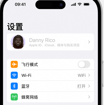 阿拉善appleID维修服务iPhone设置中Apple ID显示为灰色无法使用 