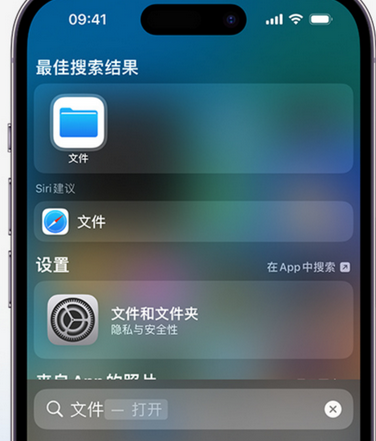 阿拉善apple维修中心分享iPhone文件应用中存储和找到下载文件 