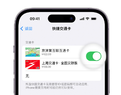 阿拉善apple维修点分享iPhone上更换Apple Pay快捷交通卡手绘卡面 