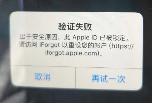 阿拉善iPhone维修分享iPhone上正常登录或使用AppleID怎么办 