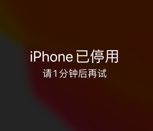 阿拉善苹果手机维修分享:iPhone 显示“不可用”或“已停用”怎么办？还能保留数据吗？ 