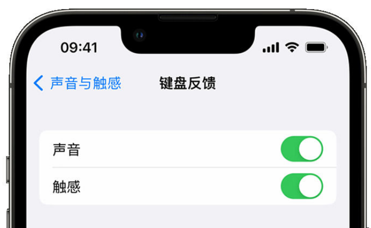 阿拉善苹果手机维修分享iPhone 14触感键盘使用方法 