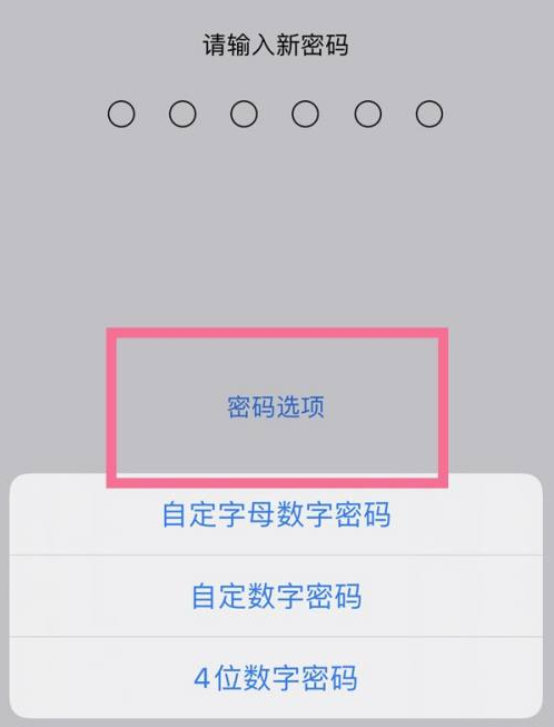 阿拉善苹果14维修分享iPhone 14plus设置密码的方法 