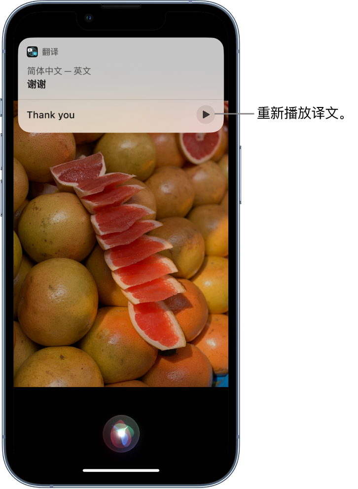 阿拉善苹果14维修分享 iPhone 14 机型中使用 Siri：了解 Siri 能帮你做什么 