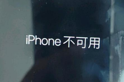 阿拉善苹果服务网点分享锁屏界面显示“iPhone 不可用”如何解决 