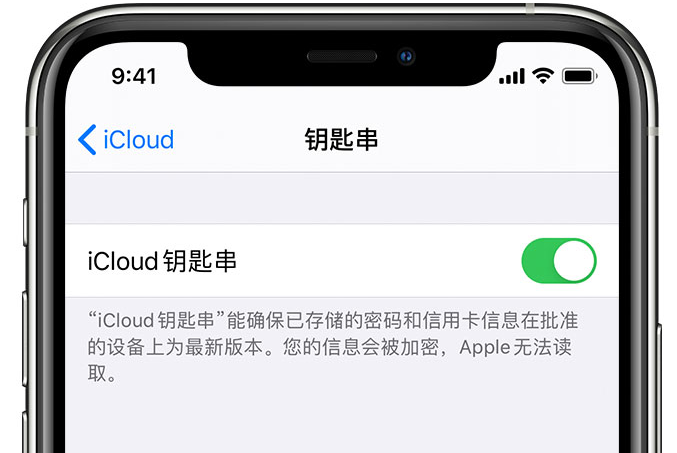 阿拉善苹果手机维修分享在 iPhone 上开启 iCloud 钥匙串之后会储存哪些信息 