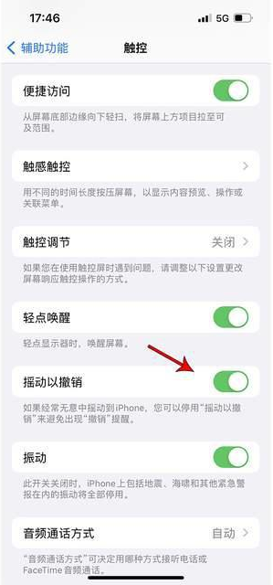 阿拉善苹果手机维修分享iPhone手机如何设置摇一摇删除文字 